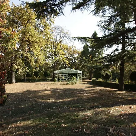 Bricco Pogliani *