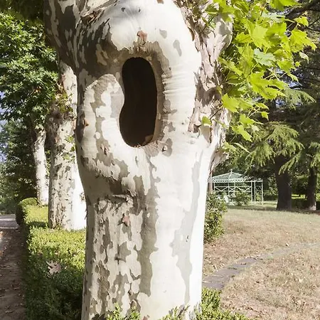 Bricco Pogliani CastellʼAlfero